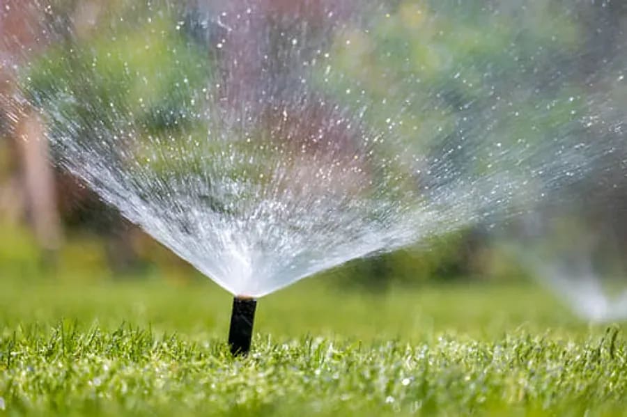 Sprinkler head spraying water across a green lawn on a sunny day