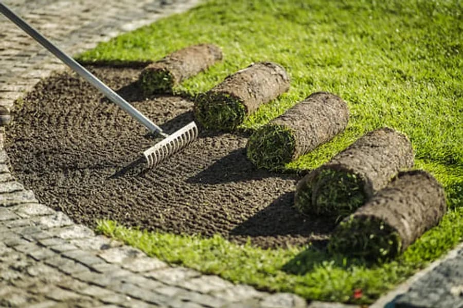 Rolls of fresh sod being laid over prepared soil during a lawn installation