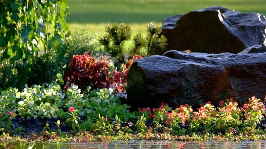 Desert landscape bed with boulders, flowering plants and decorative rock in Arizona