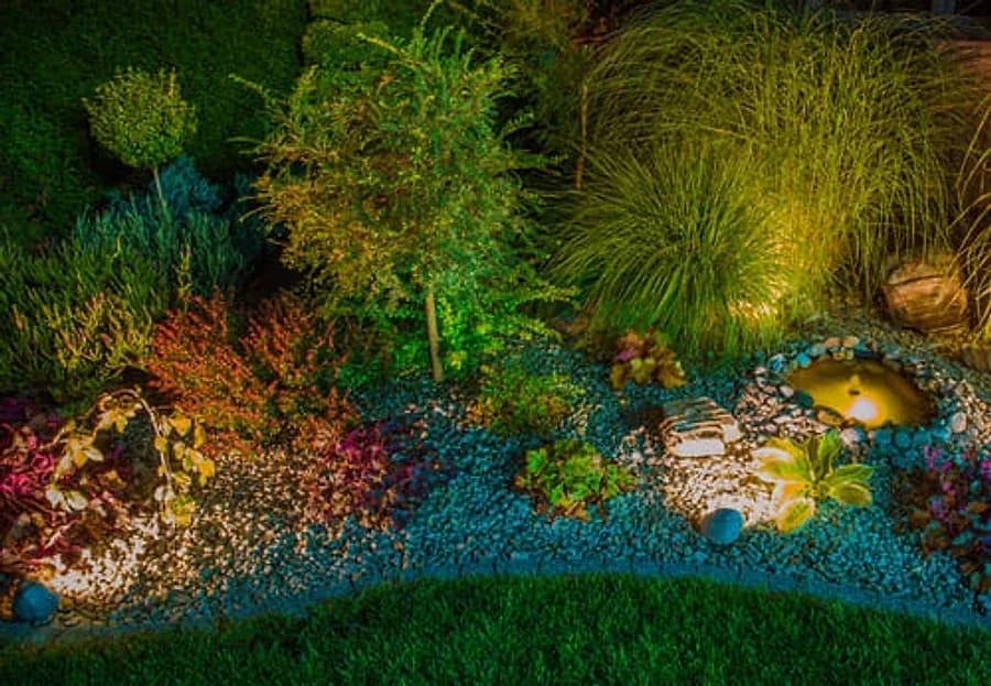 Landscape bed at night lit by warm low-voltage ground lighting and path lights