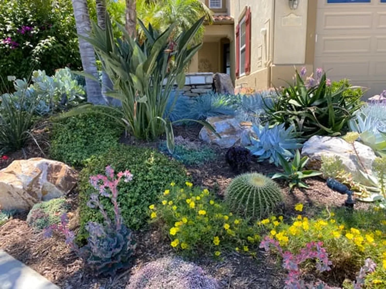 Desert landscape design with agave, cactus and decorative rock at a Mesa, Arizona home