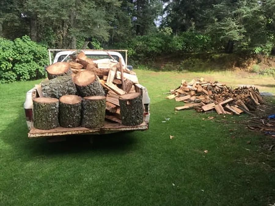 Removed tree sections loaded into a truck bed after a tree removal job